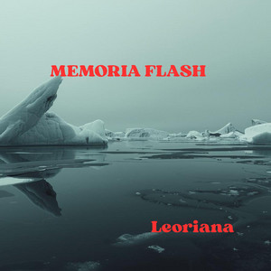 MEMORIA FLASH by Leoriana