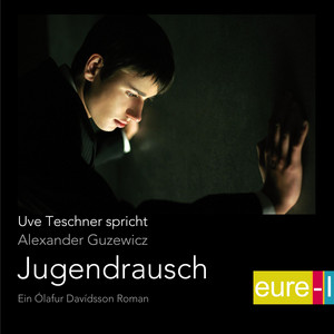 Jugendrausch (Ein Ólafur Davídsson Roman)