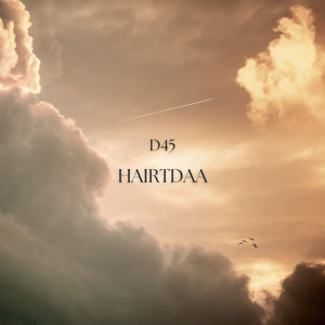 Hairtdaa by D45