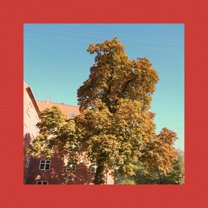 Upsi 28 by Sebastian Wegener