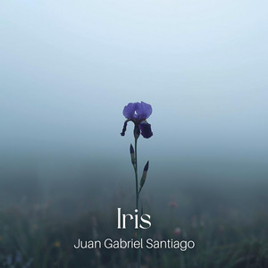 Iris - Guitar Version by Juan Gabriel Santiago