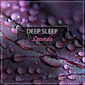 13 Sounds for Deep Sleep Natural Rain album
