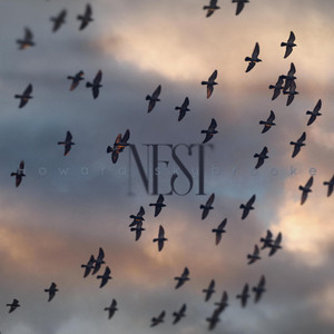 Nest by Howard Skybrooke