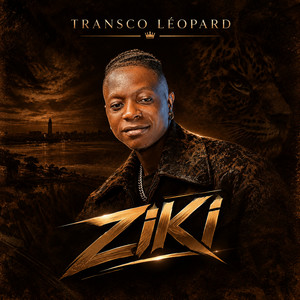 Street Argentin by Transco Leopard