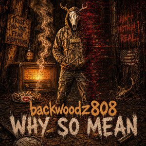 Why So Mean by Backwoodz808