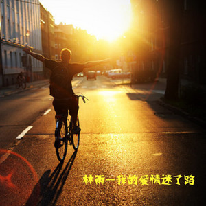 我的爱情迷了路 by 林雨