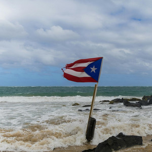 TRILLBILL - Baile Inolvidable Bunny