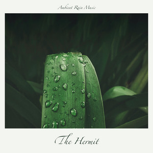 Ambient Rain Music