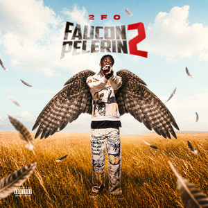 OK D'accord by 2FO
