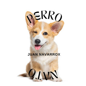 PERRO NATO by Mauri Sanchex