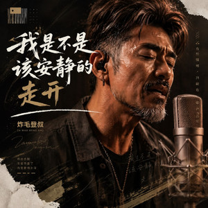 我是不是该安静的走开 by 炸毛登叔