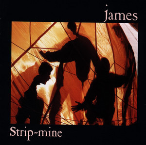Stripmining by James