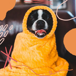 Echoes of Resting Dog Moments album