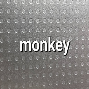 monkey