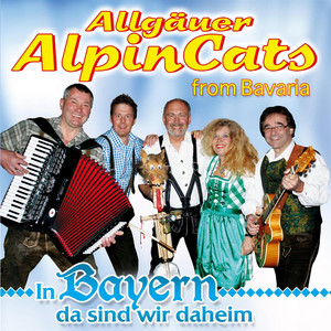 Original Donaumusikanten - Dance Little Bird (Chicken Dance)