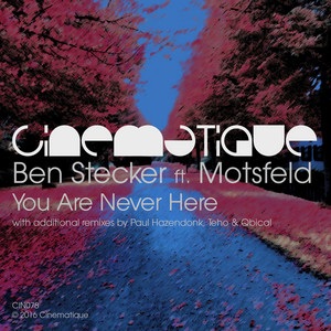 Ben Stecker cover