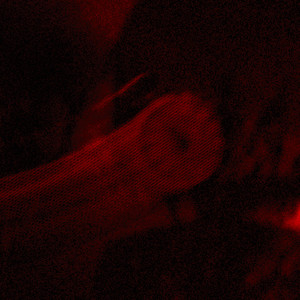 Prty2dafunctionn by Kari.