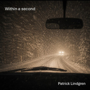 Within a second by Patrick Lindgren, Magnus Johansson