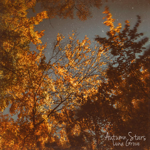 Autumn Stars by Luna Grove