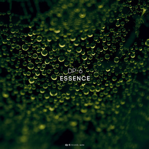 Essence by DP-6