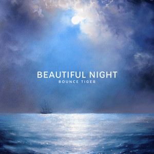 Beautiful Night by Bounce Tiger