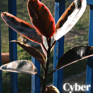 Cyber by Manolo Reyes