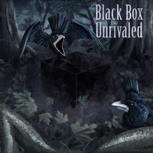 Promise by Unrivaled