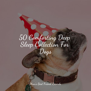50 Comforting Deep Sleep Collection For Dogs album