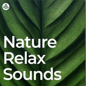 Tranquil Nature Sounds - No Fade, Loopable - Single by Masala Roo
