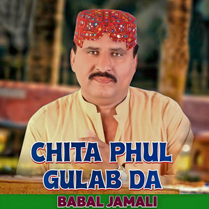 Babal Jamali - Chita Phul Gulab Da