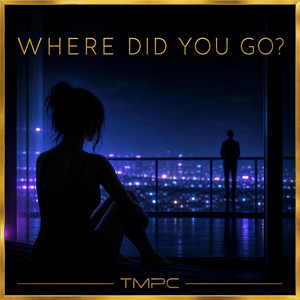 WHERE DID YOU GO? by TMPC