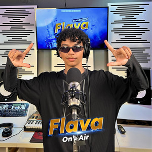 Badfox Flava On Air 14 by High Flava, BADFOX