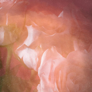 Vulnerability by Johanns Steiner