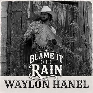 Blame It On The Rain by Waylon Hanel