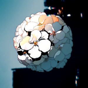 Necomanma - If You Can Become Adam and Eve