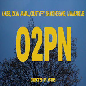 Portada de O2PN