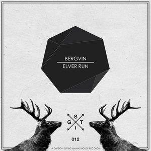 Bergvin cover