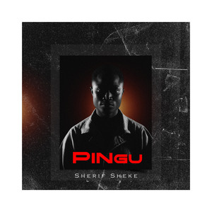 Sherif Sheke - pingu