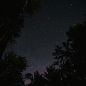 Tomorrow Night by MyceliumBug, fabeats