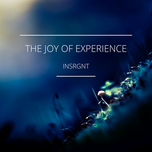 The Joy of Experience