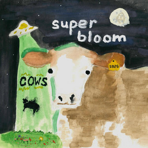 Cows