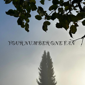 Your Number One Fan by Royne Berget, Jan Vidar Jensen