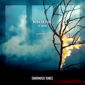 Burning Up by Nora En Pure, Orem