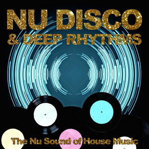 Balearic Disco House12インチレコード20枚 Deep Nu