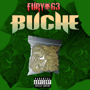 Buche by Fury 63 Album Cover