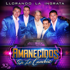 Si tu te fueras de mi - Antes de que te vayas - Tu volveras - Necesito una compañera by Amanecidos de la cumbia