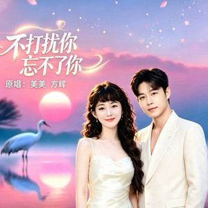 不打扰你忘不了你（对唱版） by 美美, 方晖