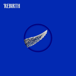 ZARYS by REBIRTH, Maciej Kądziela