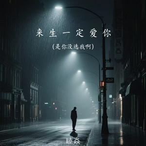 来生一定爱你 - 是你没选我啊 by 睦焱