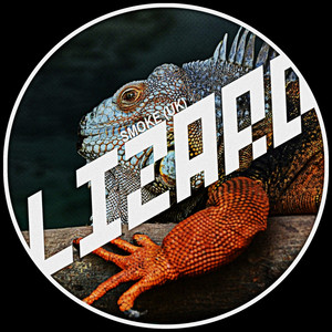 Lizard - Original Mix by SMOKE